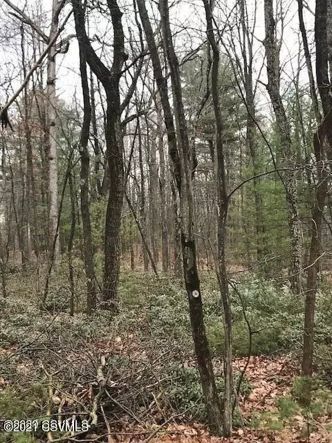 Mifflinburg, PA 17844,1790 BOBCAT DR