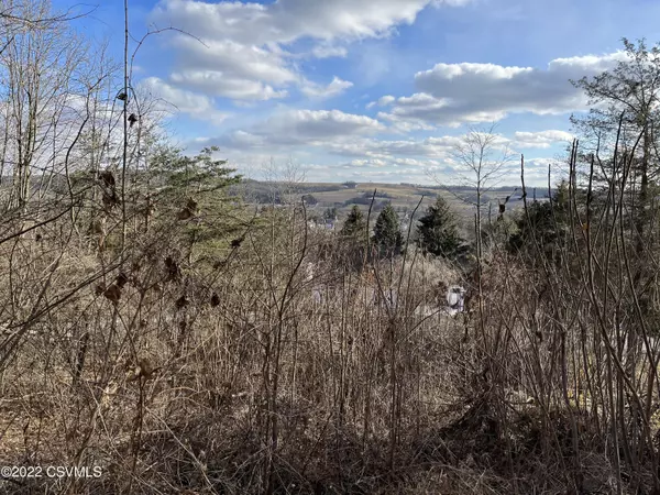 New Berlin, PA 17855,LOT NO. 13 MOTTER LN