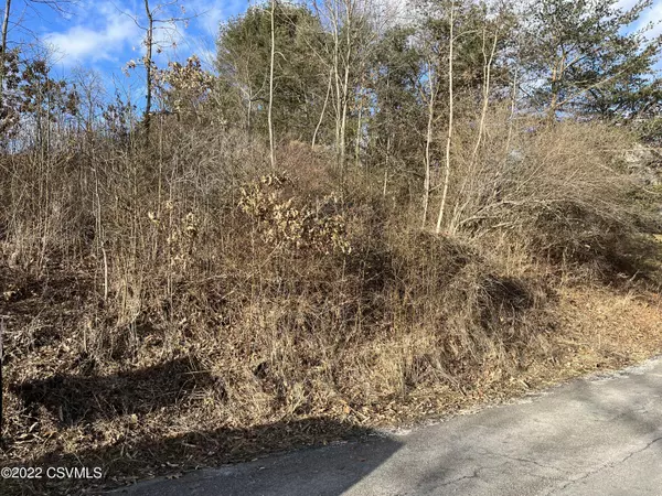 New Berlin, PA 17855,LOT NO. 13 MOTTER LN