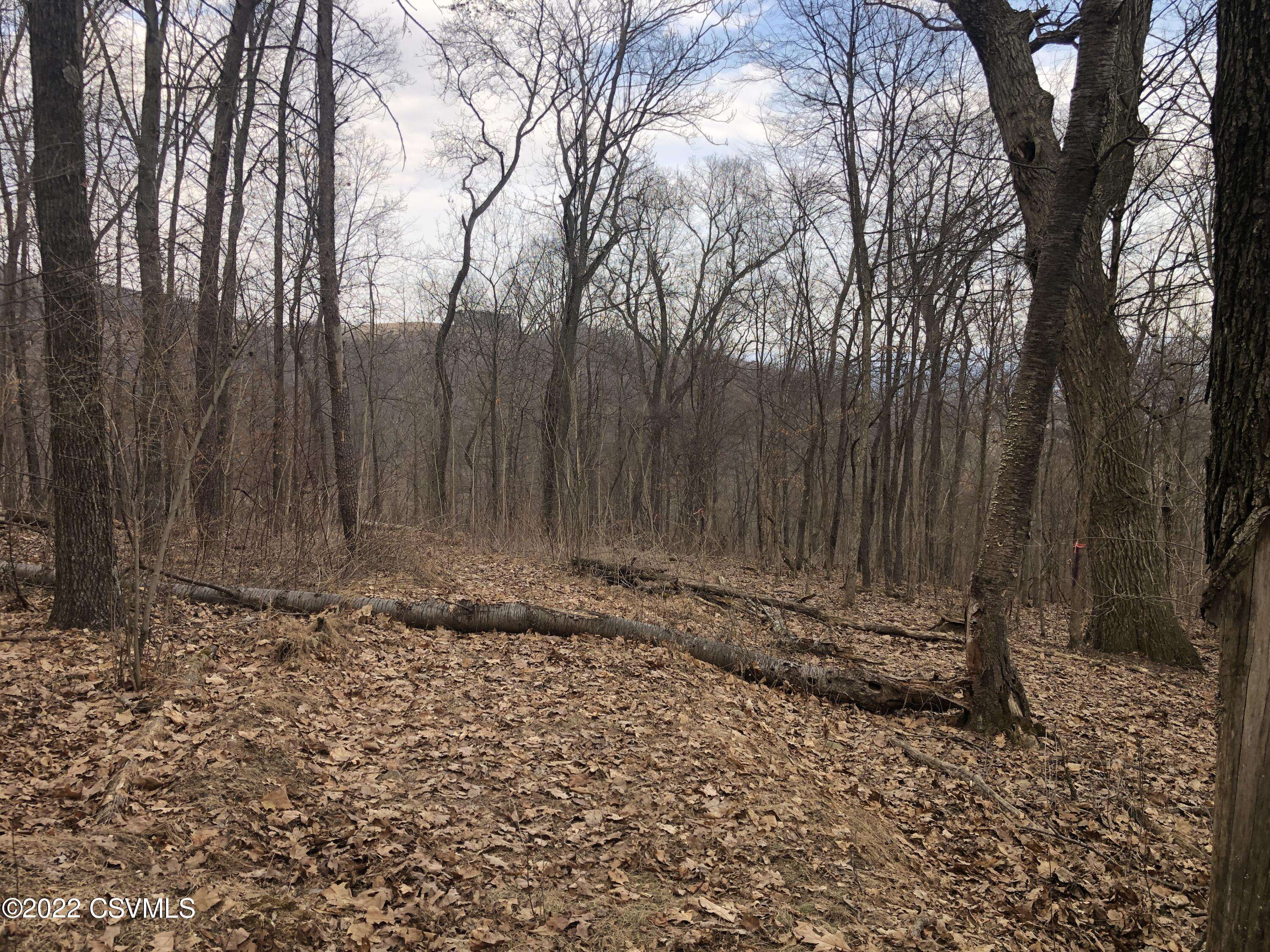 WINDSONG LN, Danville, PA 17821