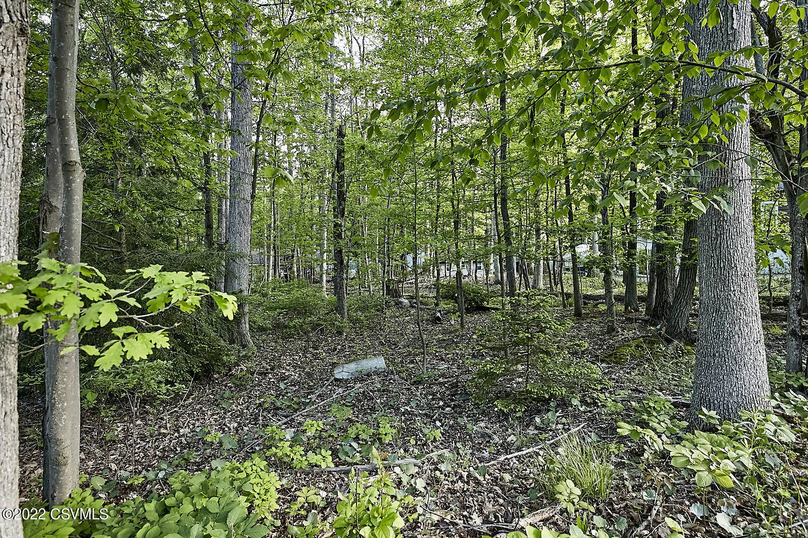 426 LAKE DR, Nesquehoning, PA 18240