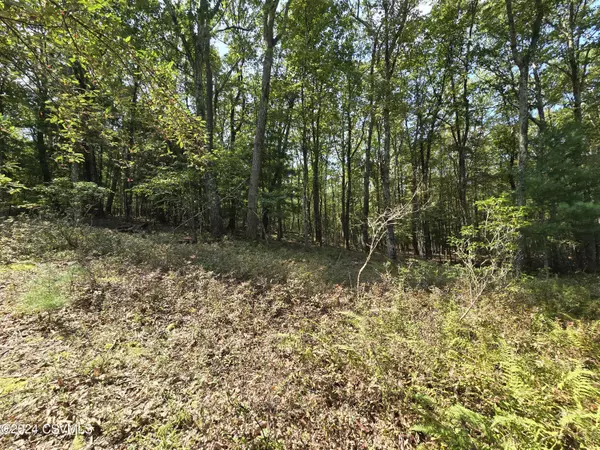 Millville, PA 17846,BEECH GLENN RD