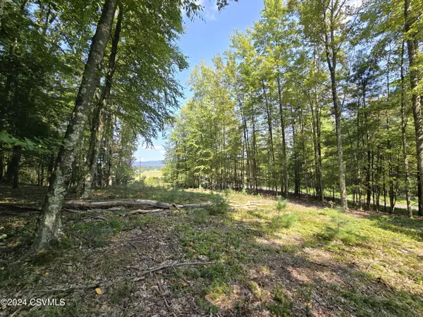 Millville, PA 17846,BEECH GLENN RD