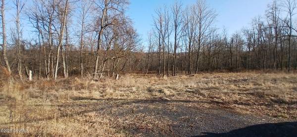 LOT #7 MOUNTAIN RD, Paxinos, PA 17860
