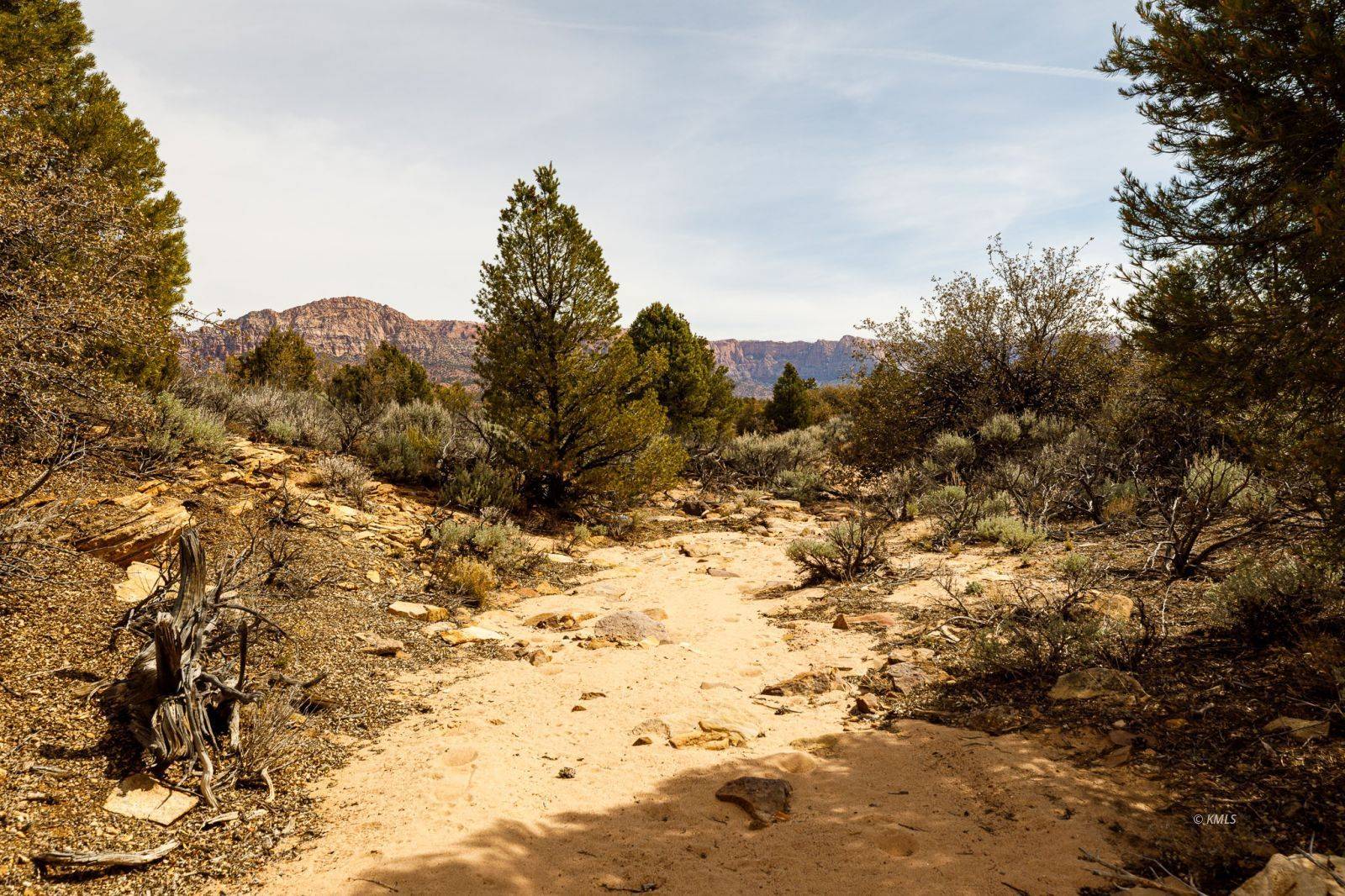 Apple Valley, UT 84737,Parcel  AV-1371-F