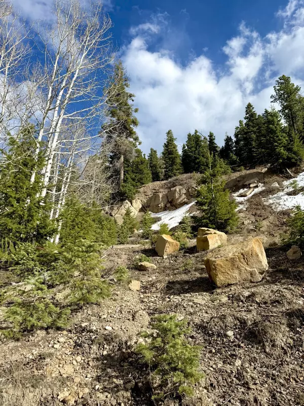 Alton, UT 84710,Lot 55 Pinon Dr