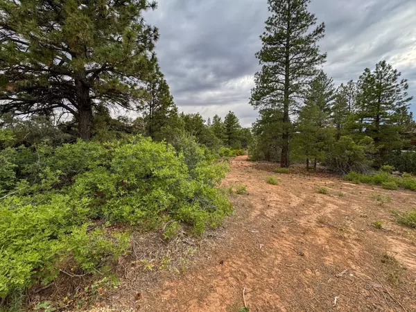 Orderville, UT 84758,Fir Rd