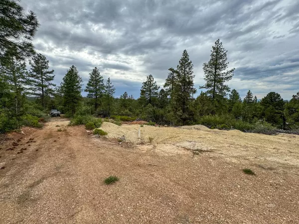 Orderville, UT 84758,Fir Rd