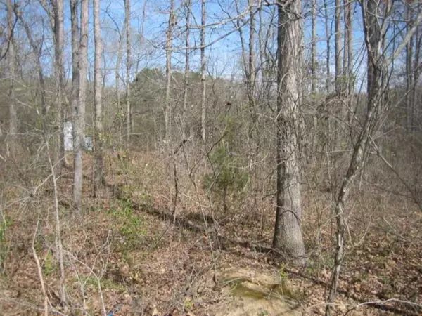 Honea Path, SC 29654,Lot 3 Brookside DR