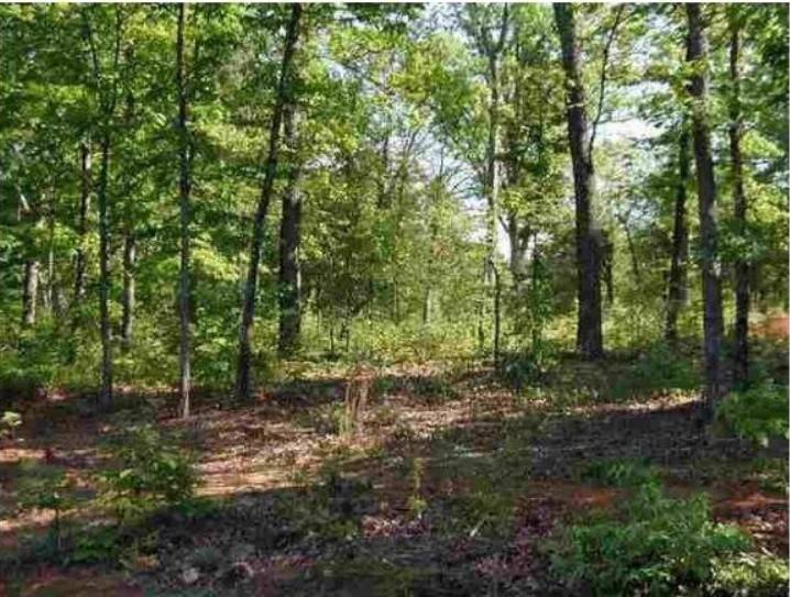 27 & 29 Fisher Jenkins RD, Anderson, SC 29625