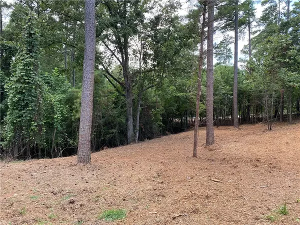 Seneca, SC 29672,000 Great Oak Wy/ Lot 48 Waterford Ridge