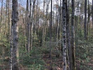 166 Bailey Brown RD, Easley, SC 29640