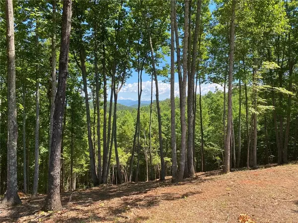 Six Mile, SC 29682,Lot 38 Cliffs Vista Pkwy