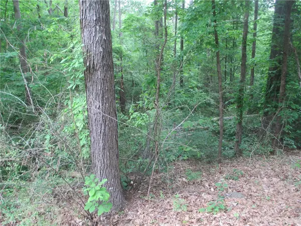 Fair Play, SC 29643,000 Cherokee DR