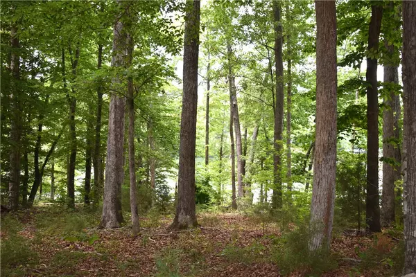 Abbeville, SC 29620,124 Edgewater PT