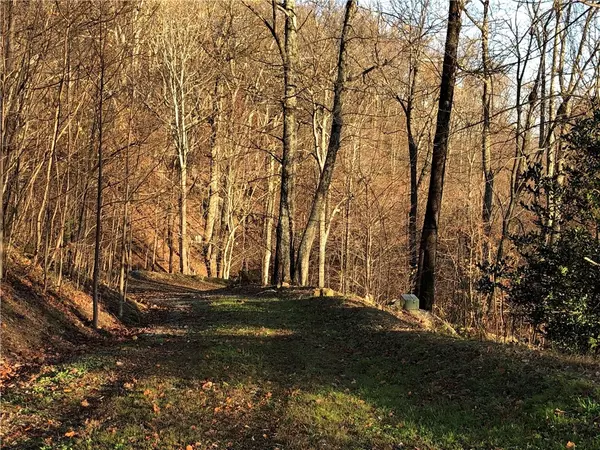 Landrum, SC 29356,275 Lost Trail DR