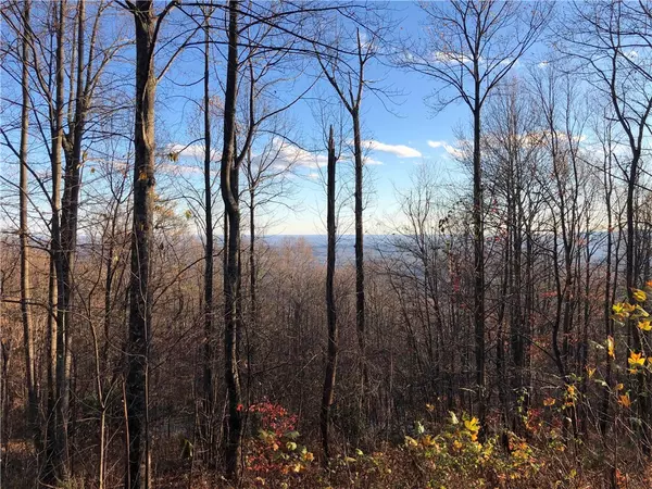 Landrum, SC 29356,275 Lost Trail DR