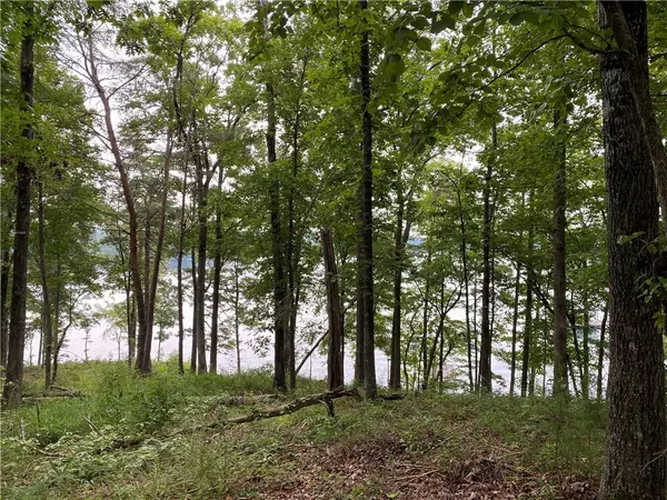 Salem, SC 29676,602 Deep Cove CT #AR27