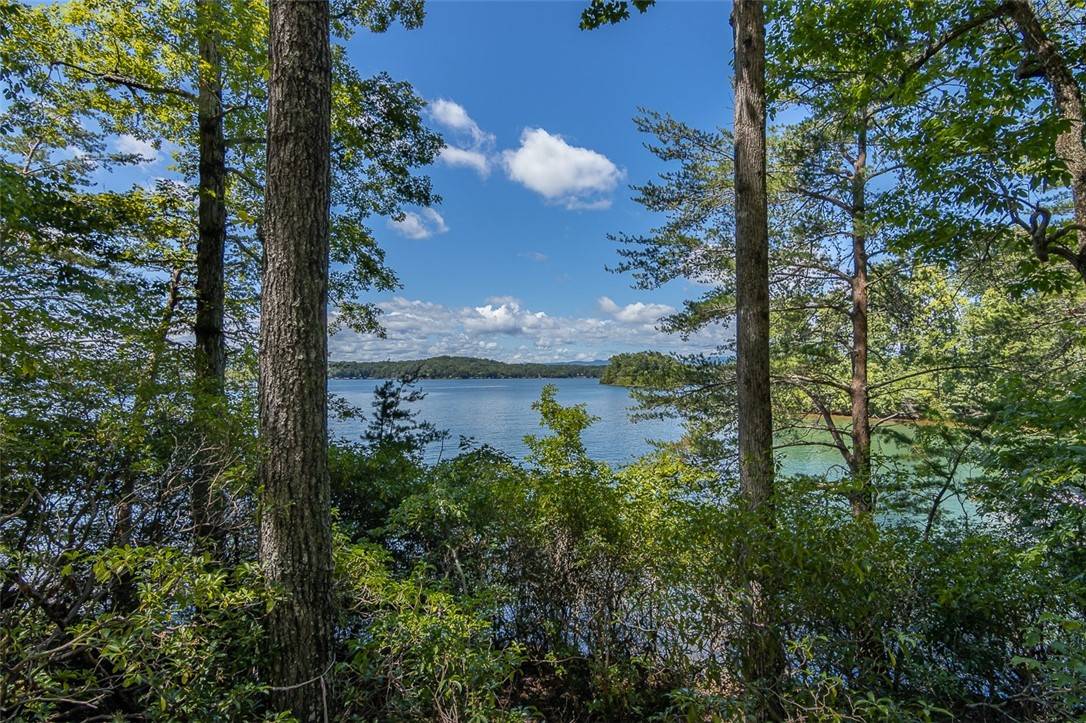 Lot 135 Hermitage DR, Six Mile, SC 29682