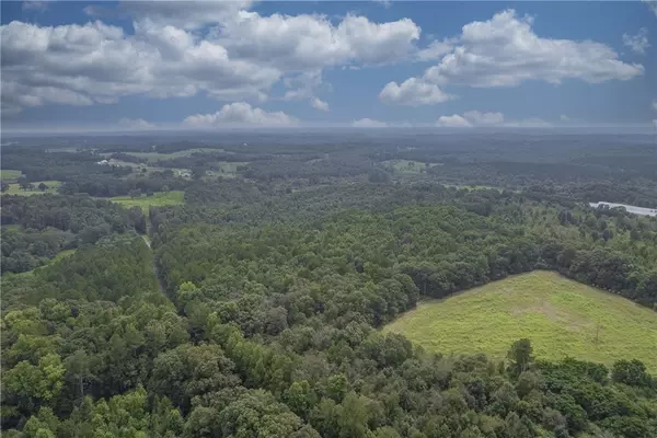 Bowman, GA 30624,0 W Hendricks ST