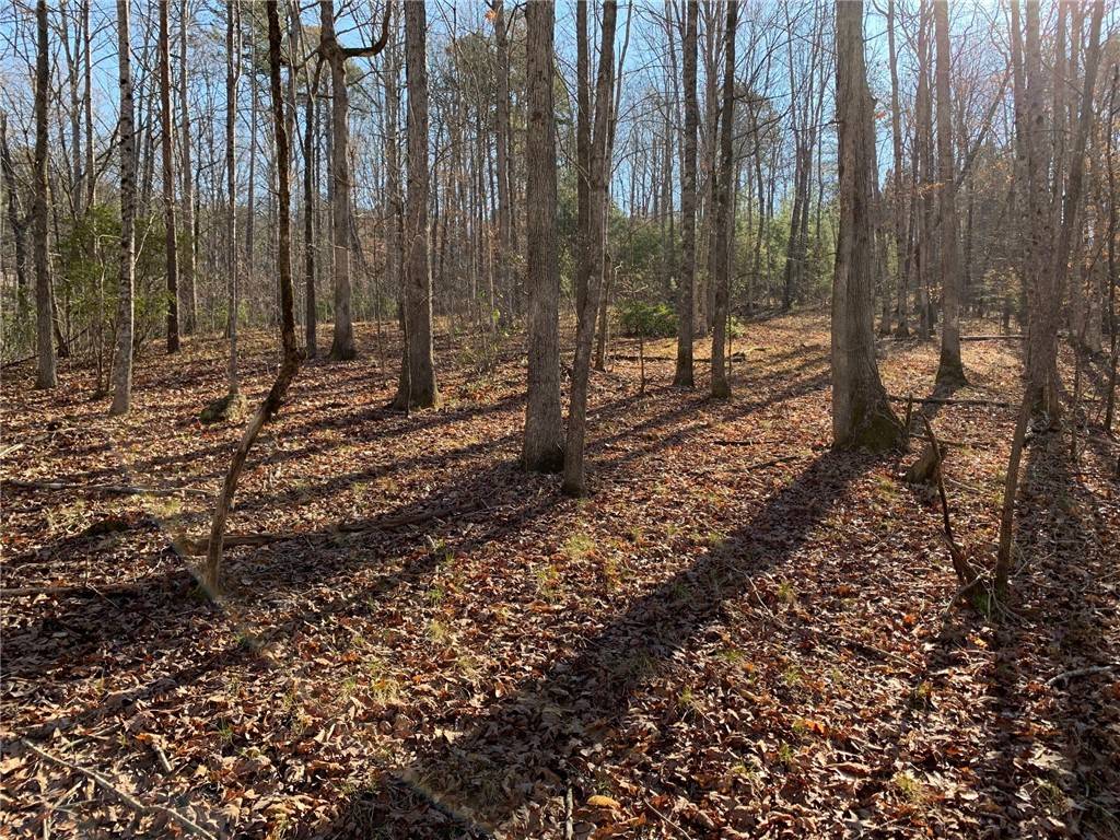 118 Edgestone WAY, Six Mile, SC 29682