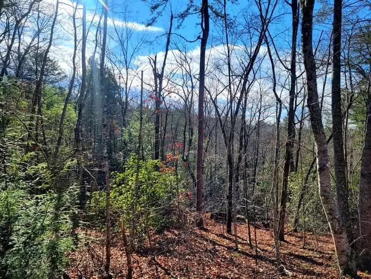 Mountain  Rest, SC 29664,LOT 13 Right Branch DR