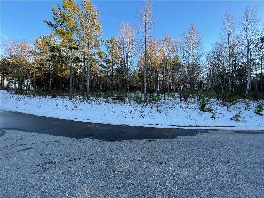Seneca, SC 29672,Lot 80 Quiet Pine RD