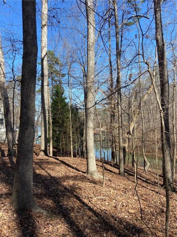 165 Choestoea RD, Westminster, SC 29693