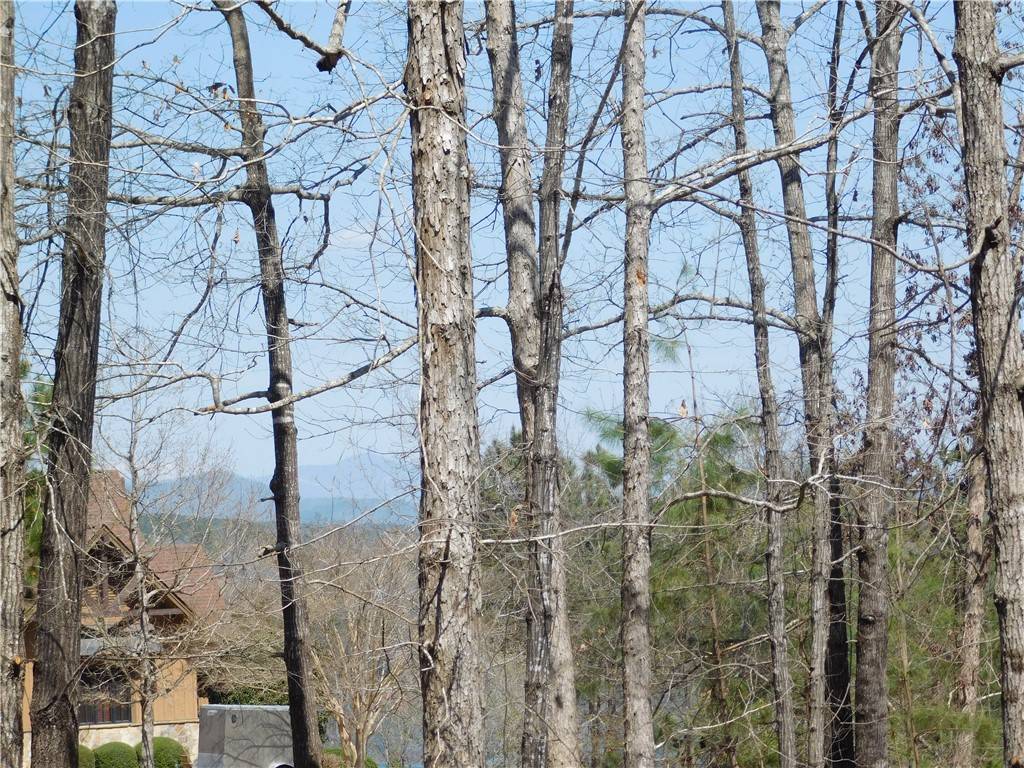Salem, SC 29676,306 Eagle's Bend TRL