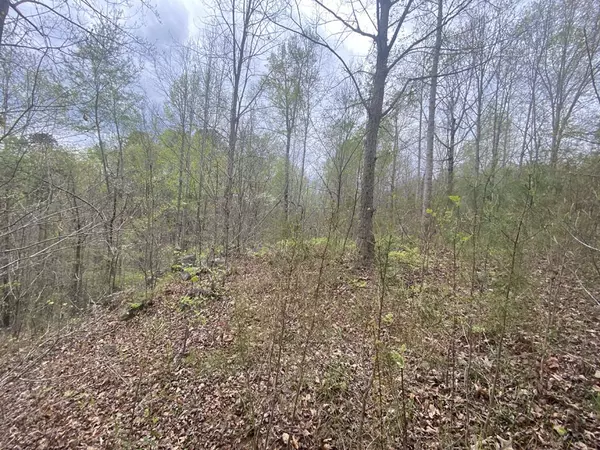 580 Edgewater TRL, Toccoa, GA 30577