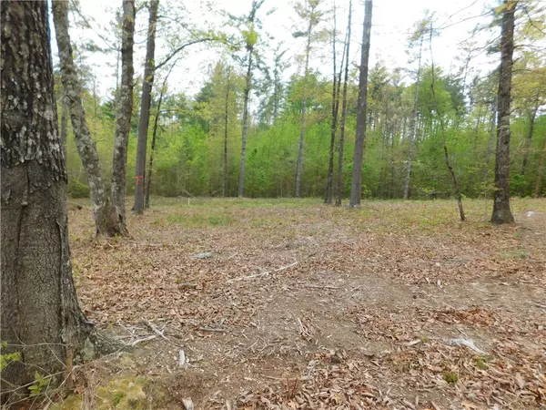 Salem, SC 29676,Lot 2 Old Chapman Bridge RD