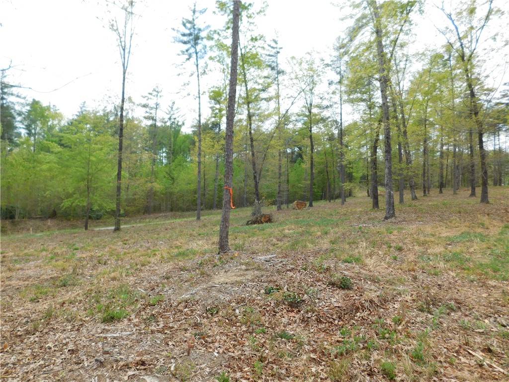 Lot 3 Old Chapman Bridge RD, Salem, SC 29676