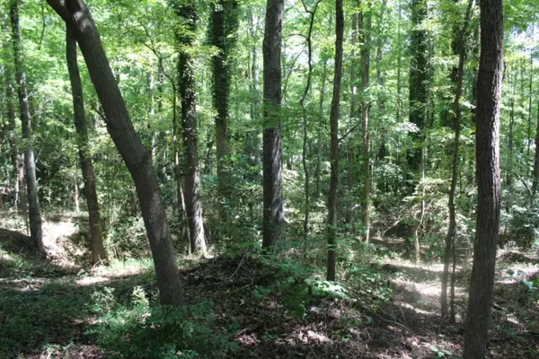 Belton, SC 29627,Lot C Sam DR