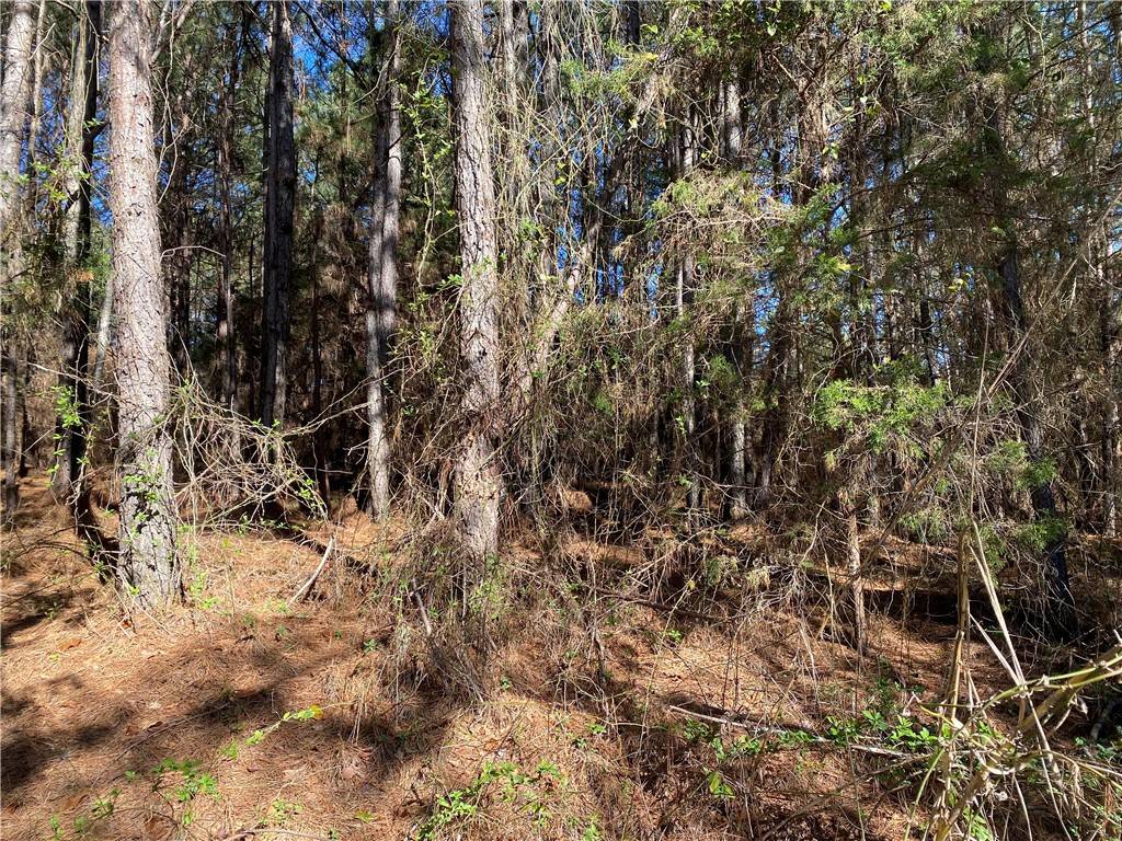 Anderson, SC 29626,Lot 7 S 29 Highway