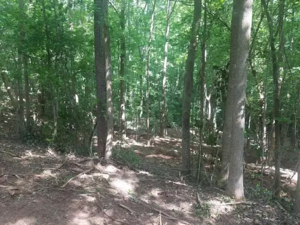 Fair Play, SC 29643,Lot 31 Cleveland Ferry RD