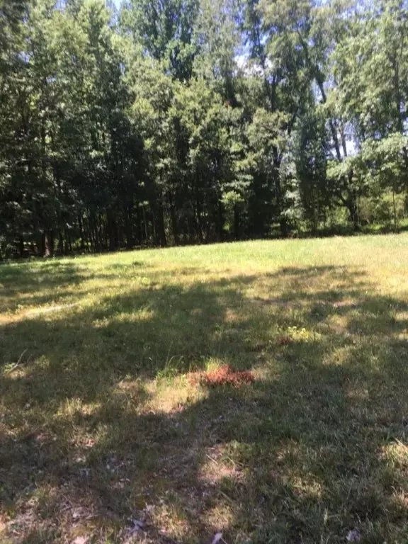 Belton, SC 29627,00 Murdock RD #Tract D