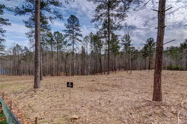 Salem, SC 29676,Lot 14 Grays Peak DR
