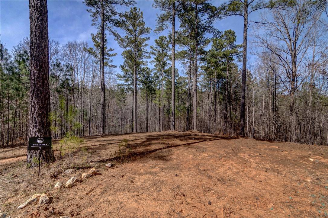 Salem, SC 29676,Lot 1 Grays Peak DR