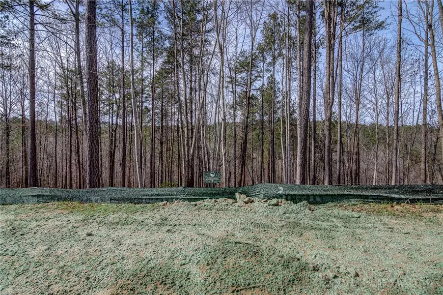 Lot 3 Grays Peak DR, Salem, SC 29676