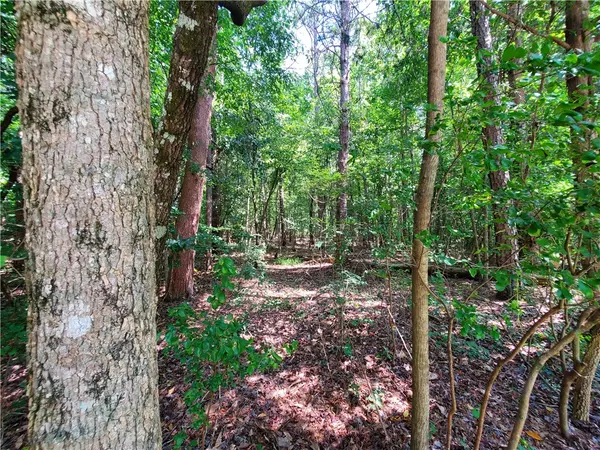 Westminster, SC 29693,Lot 2105 Warpaint LN