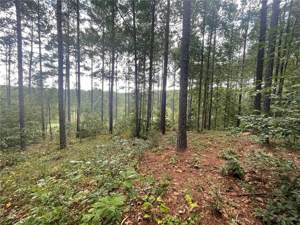 116 Long Ridge RD, Sunset, SC 29685