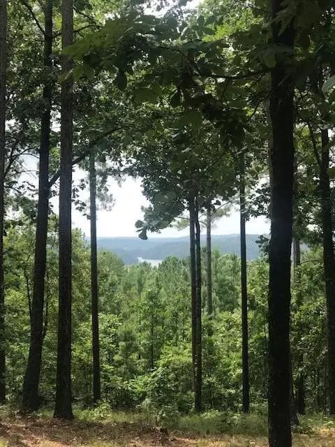 Salem, SC 29676,333 Long Cove TRL