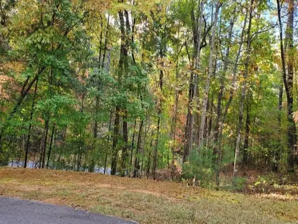 Sunset, SC 29685,105 Sweetshrub WAY