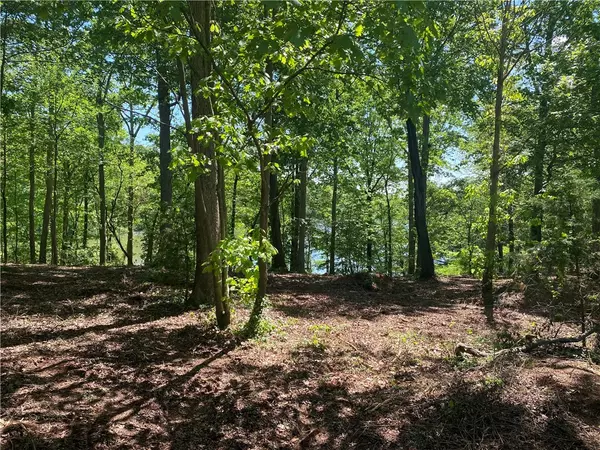 Westminster, SC 29693,19 Arrowhead Lake TRL