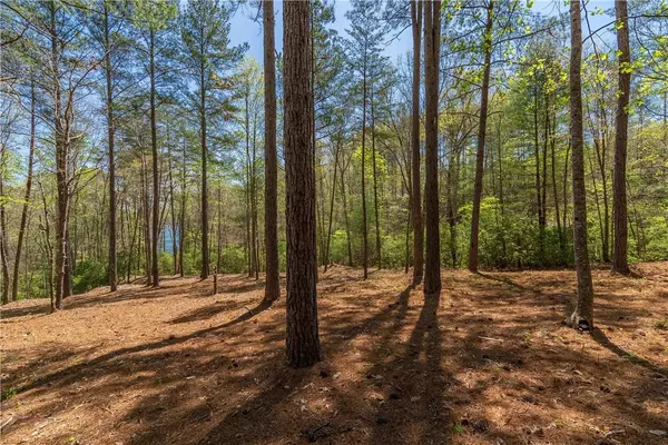 Salem, SC 29676,Lot 4 Canebrake DR