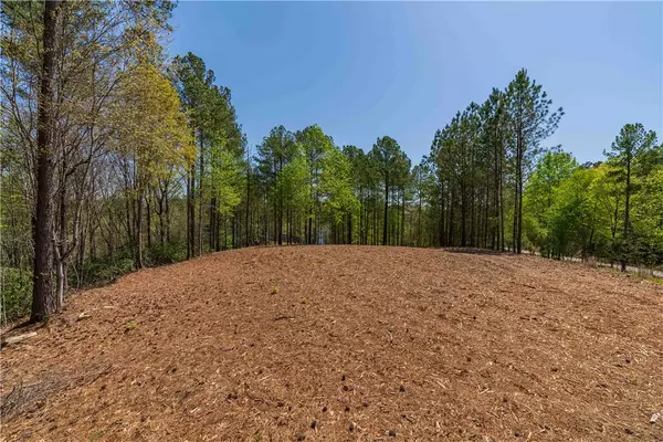 Salem, SC 29676,Lot 6 Canebrake DR