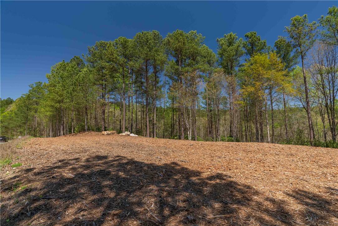 Salem, SC 29676,Lot 6 Canebrake DR