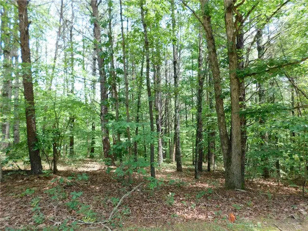 Lot 41 Vineyard PARK, Sunset, SC 29685