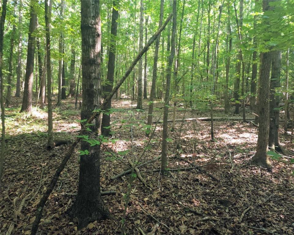 Townville, SC 29689,00 243 HWY