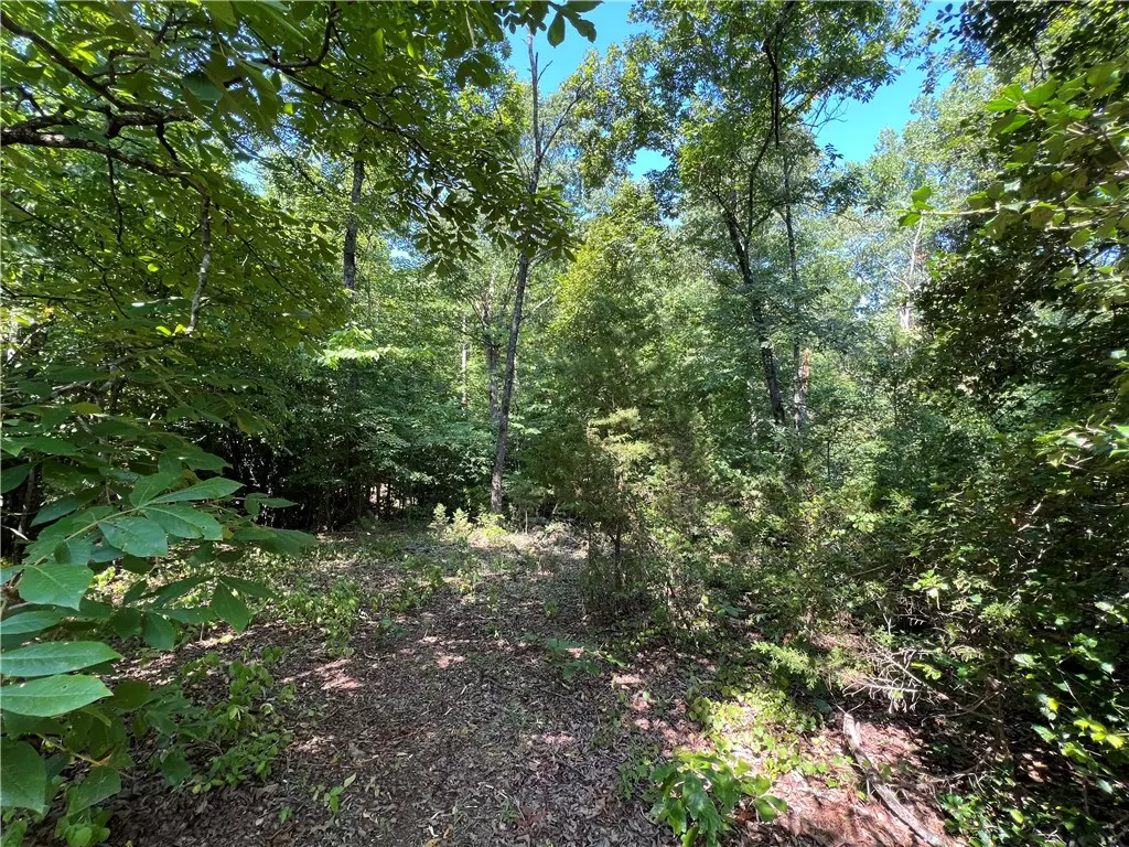 Liberty, SC 29657,169 Liberty HWY